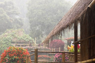 Yumuşak odak, saman Çatıdan düşen yağmur damlası