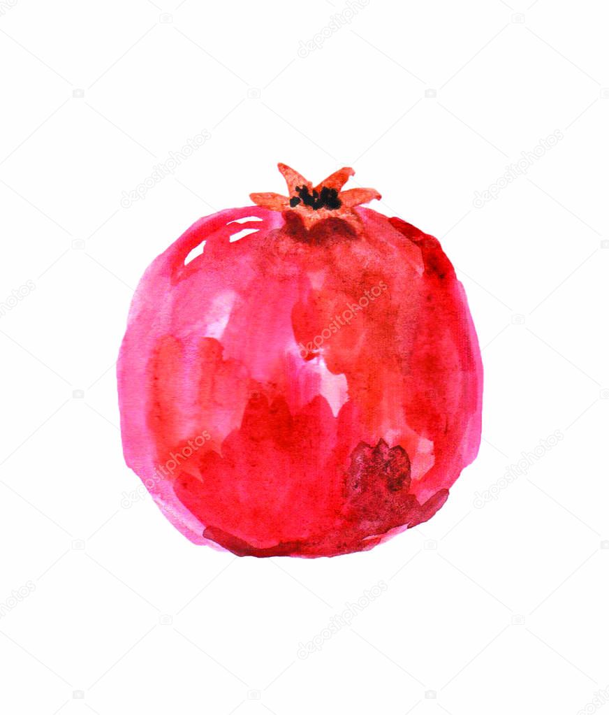 Garnet fruit watercolor