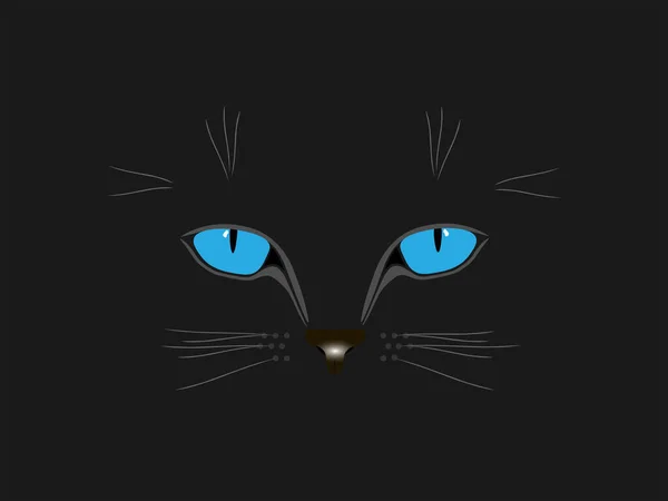 Mavi gözlü siyah kedi.