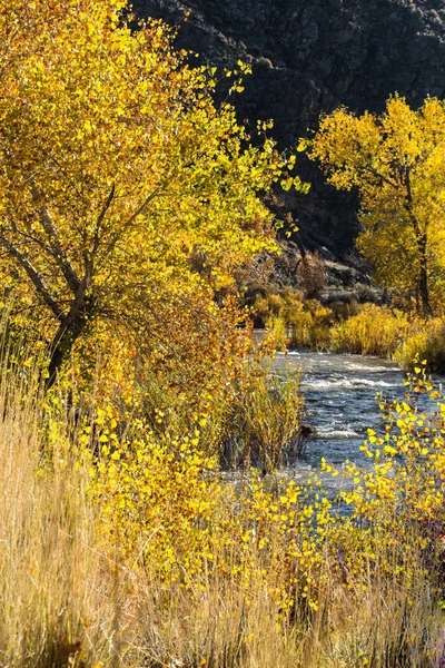 Utsikt över floden i höst — Stockfoto