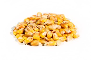 Organik mısır taneleri