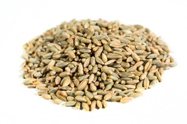 Organik çavdar tahıl 