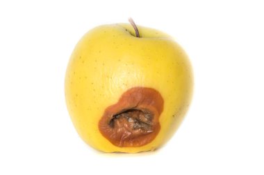 Rotten apple with a bad spot clipart