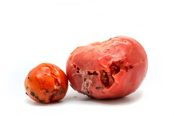 Dva shnilý rajčata — Stock fotografie