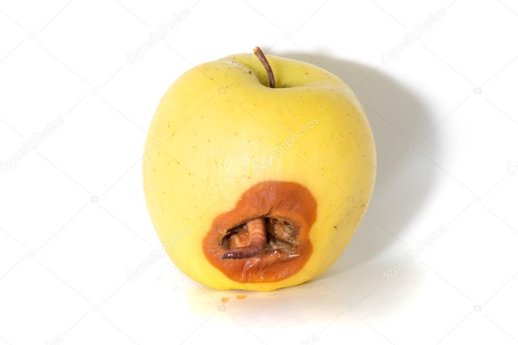 https://st3.depositphotos.com/9447012/13042/i/950/depositphotos_130426524-stock-photo-rotten-apple-with-a-large.jpg