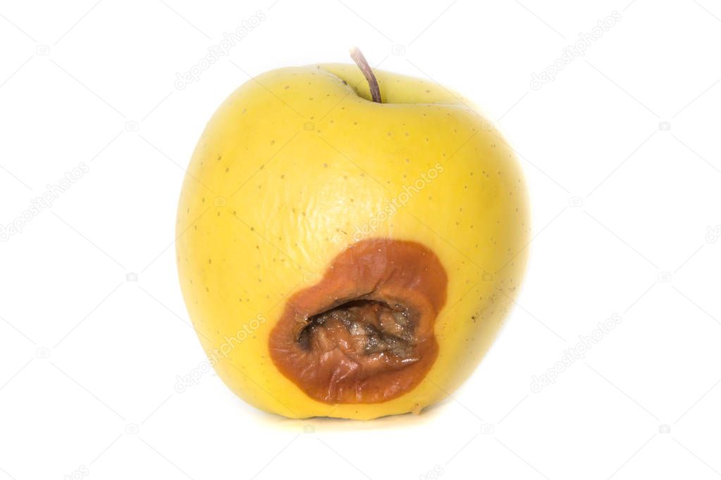 Rotten apple with a bad spot