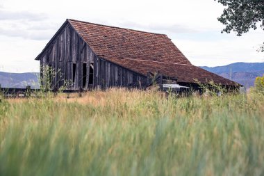 Eski terk edilmiş ahırını düşüyor 