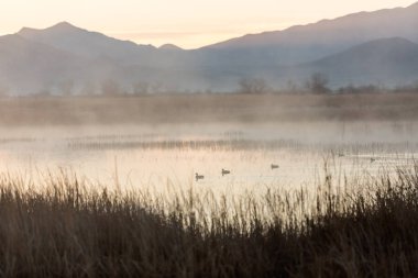 Erken sabah şafak sahne