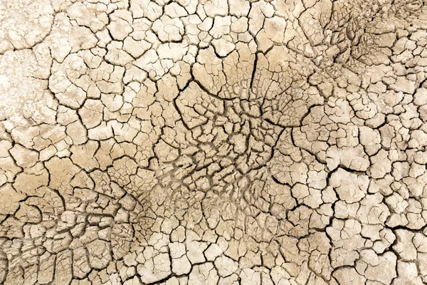 乾燥し、ひびの入った砂質土 — ストック写真