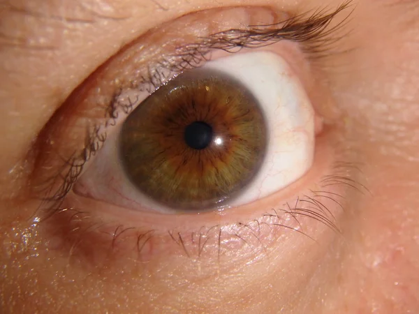 Θέα όμορφη closeup ενός ανθρώπου μάτι — Φωτογραφία Αρχείου