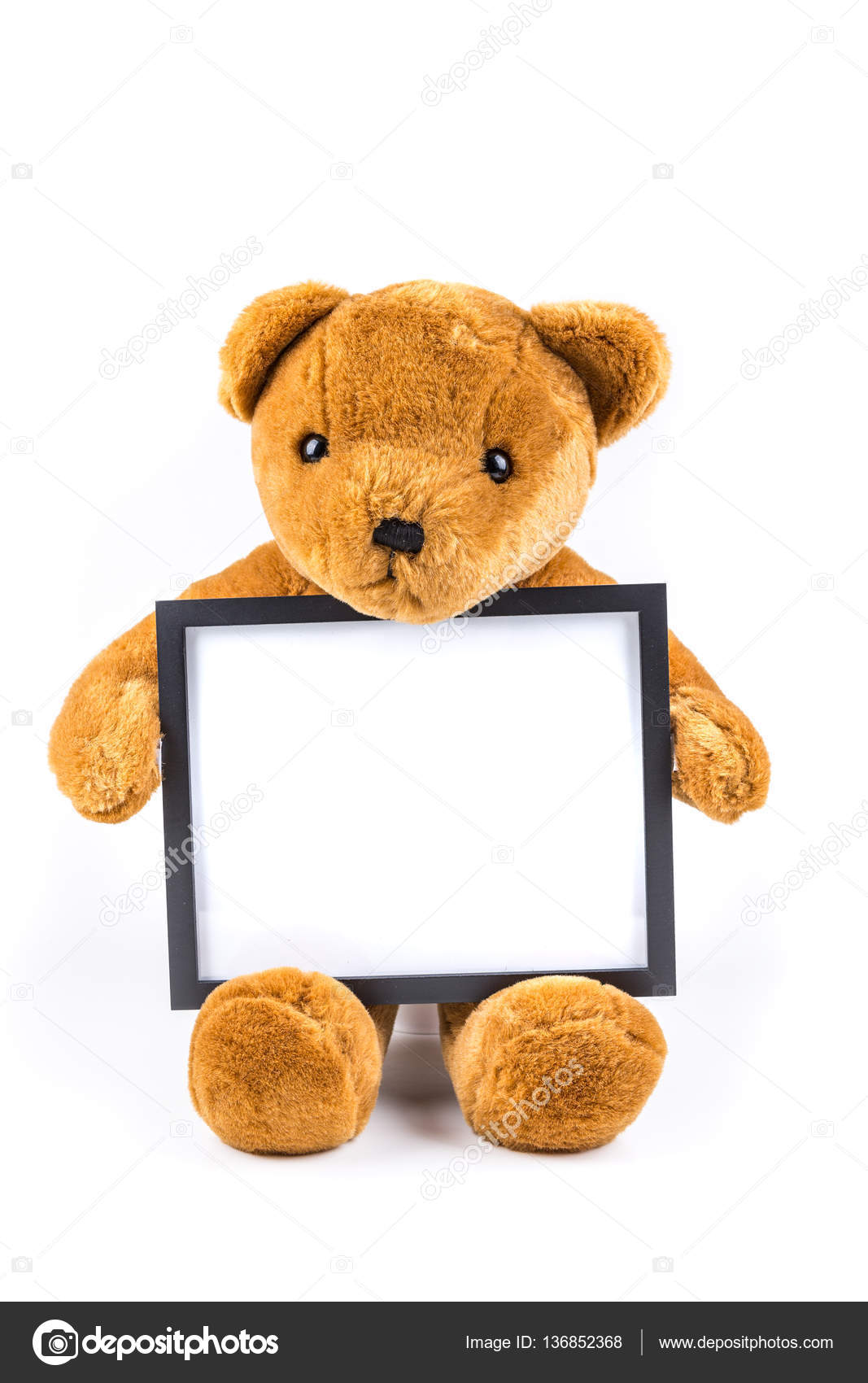 teddy bear holding picture frame