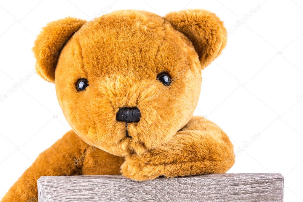 Pensive brown teddy bear leaning on a grey board 