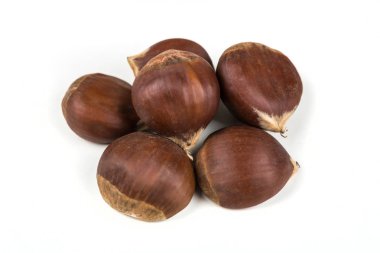 Ham organik kestane 