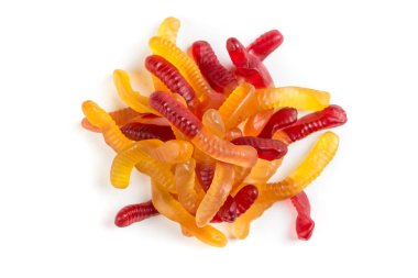 Organik jöle solucanlar yığını