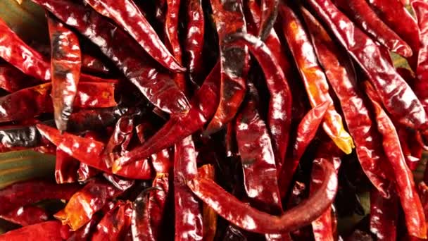 Red Hot Dried Chiles Arbol Peppers Video Točení Směru Hodinových — Stock video