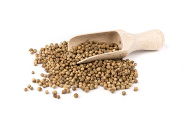 Kişniş kişniş tohumu baharat bitkisi pişirmek için.