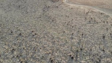 Düşük drone video kuru yıkama ve çatlak tuz düzlükleri üzerine