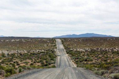 Çölün ortasından geçen toprak yol ve çalı çalı.