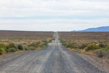 Çölün ortasından geçen toprak yol ve çalı çalı.