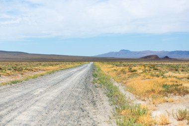 Çölün ortasından geçen toprak yol ve çalı çalı.
