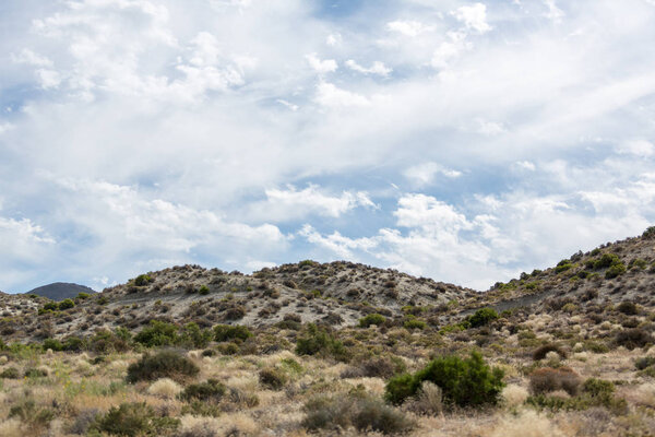 Sagebrush and desert capped by cloudy blue skies