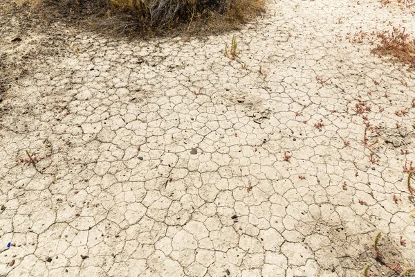 Lama Seca Deserto Rachado Plantas Morrendo Sede — Fotografia de Stock