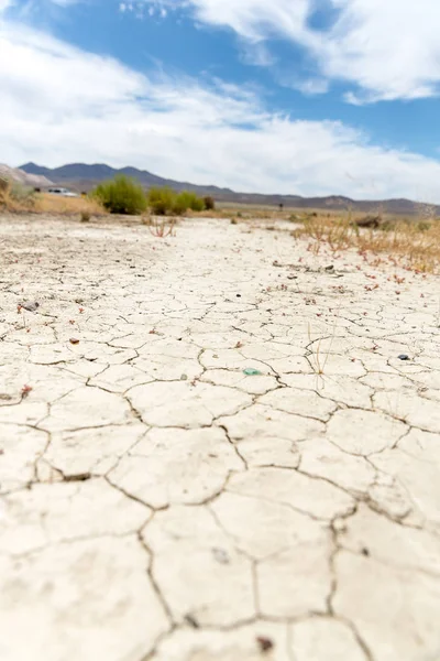 Fango Secco Del Deserto Piante Che Muoiono Sete — Foto Stock