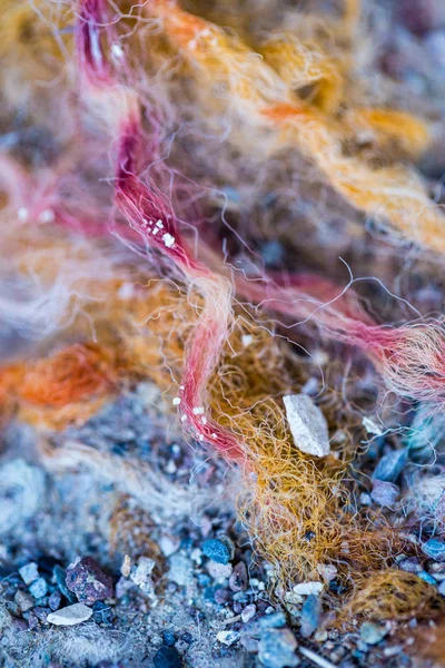 Thick Multicolored Carpet Fibers Worn Shreds — 스톡 사진