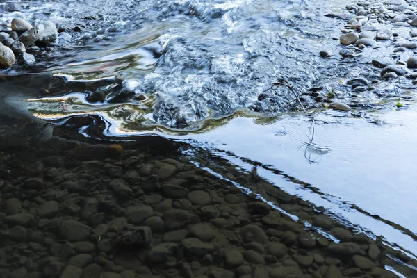 Spiegelungen Einer Brücke Und Gebäude Truckee River Wasser Felsen Fließt — Stockfoto