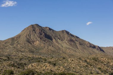 Önplanda saguaro ve çöl ile gökyüzüne karşı yükselen büyük dağ