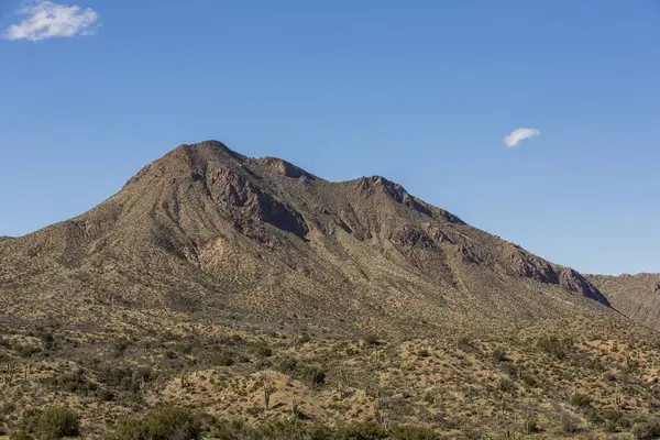 Grande Montagne Élevant Contre Ciel Avec Saguaro Désert Premier Plan — Photo