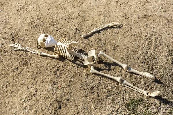 Сломанный Детский Скелет Маске Лежащей Земле Парке — стоковое фото