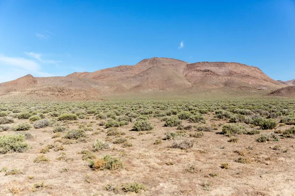 Colline Con Campo Sagebre Nel Deserto Neavada — Foto Stock