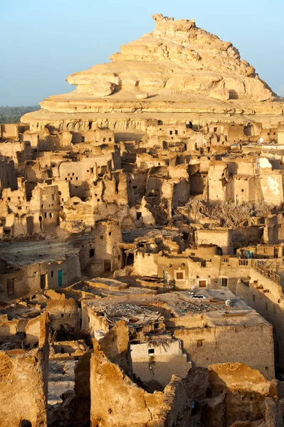 Çöl kale vahasında Siwa Mısır'daki Shali