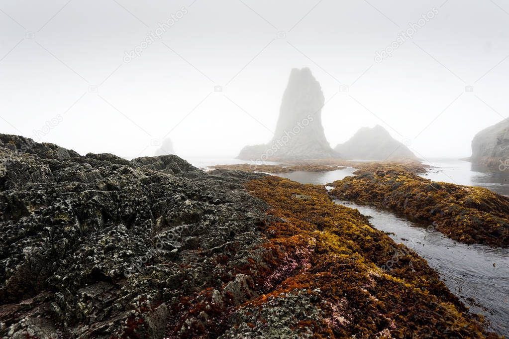 Urup - island of Kuriles