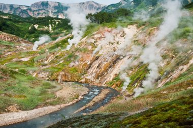 Kronotsky yedekte Geysers Vadisi içinde fumaroles