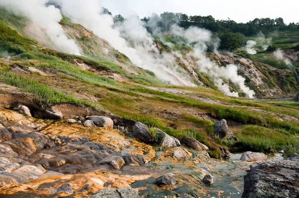 Geysers Valley View Kronotsky rezerv