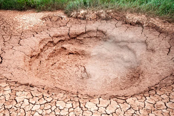 Kronotsky yedekte Geysers Vadisi içinde fumaroles