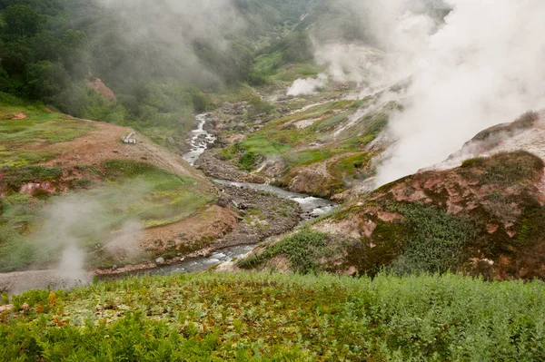 Geysers Valley View Kronotsky rezerv
