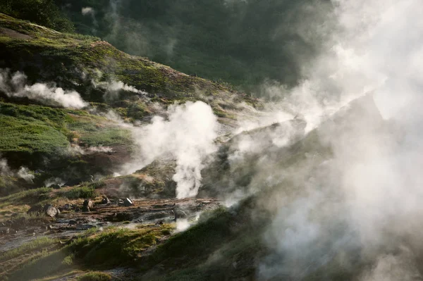 Geysers Valley View Kronotsky rezerv