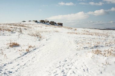Çelyabinsk, Rusya Tarih öncesi boya ile göl Bolshie Allaki yanındaki kayalıklardan