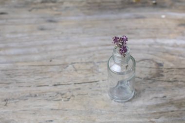 Cam şişe üzerinde ahşap kırsal ba kuru kekik tıbbi bitki çiçek