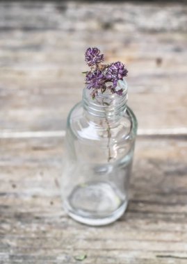 Cam şişe üzerinde ahşap kırsal ba kuru kekik tıbbi bitki çiçek