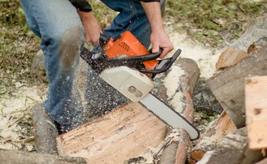 Kış hazırlığı. Holding adam oduncu chainsaw ve ahşap ile kesme motorlu. Yakacak odun sağlanması için kış.