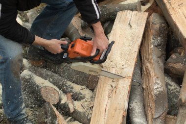 Kış hazırlığı. Holding adam oduncu chainsaw ve ahşap ile kesme motorlu. Yakacak odun sağlanması için kış.