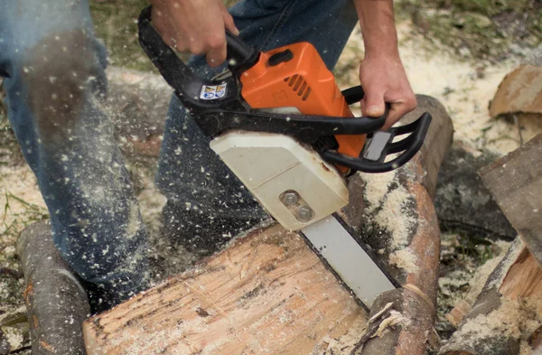 Kış hazırlığı. Holding adam oduncu chainsaw ve ahşap ile kesme motorlu. Yakacak odun sağlanması için kış.