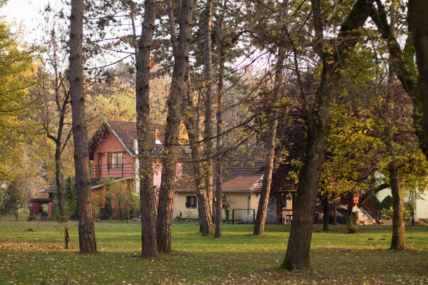 Feuillage coloré dans le parc jaune d'automne à Mataruska Banja , — Photo