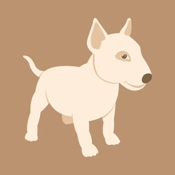 Bull Terrier puppy vector  style Flat — Stock Vector