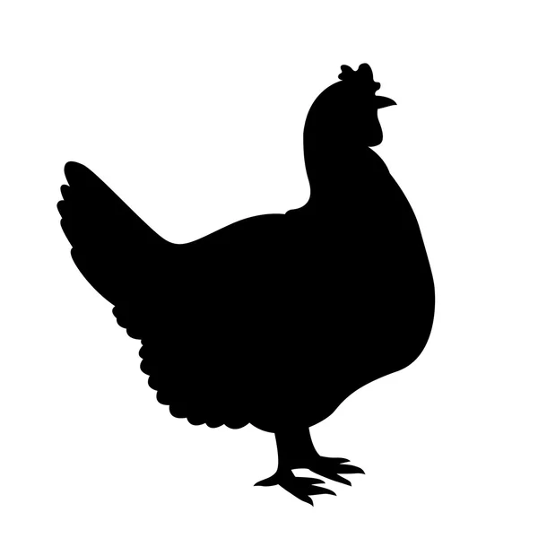 Vector de pollo silueta negro — Vector de stock