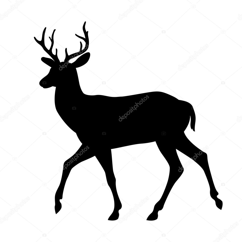 deer vector illustration silhouette black 